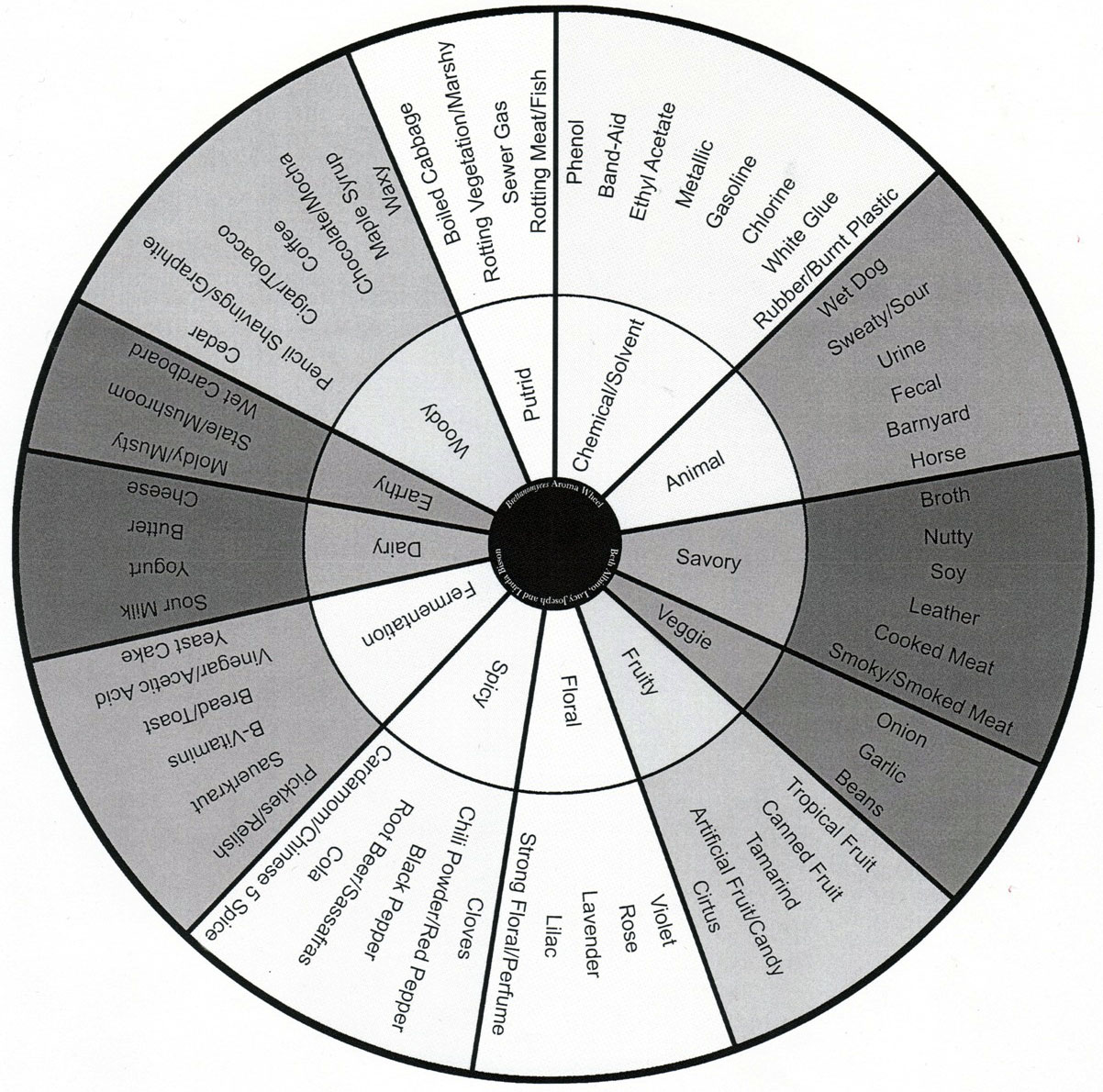 Brettanomyces Flavor Wheel
