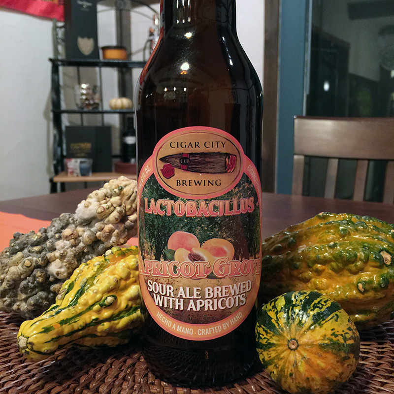 Cigar City Lactobacillus Apricot Grove