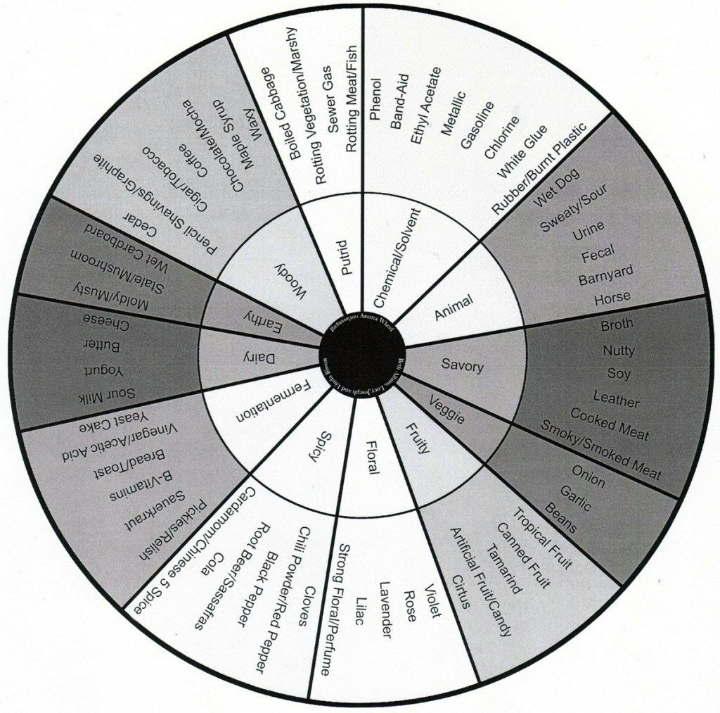 Not every variety of Brett "Funk" is something you want in your beer. This Brettanomyces flavor and aroma wheel helps to group and categorize the various potential byproducts of Brettanomyces aging.