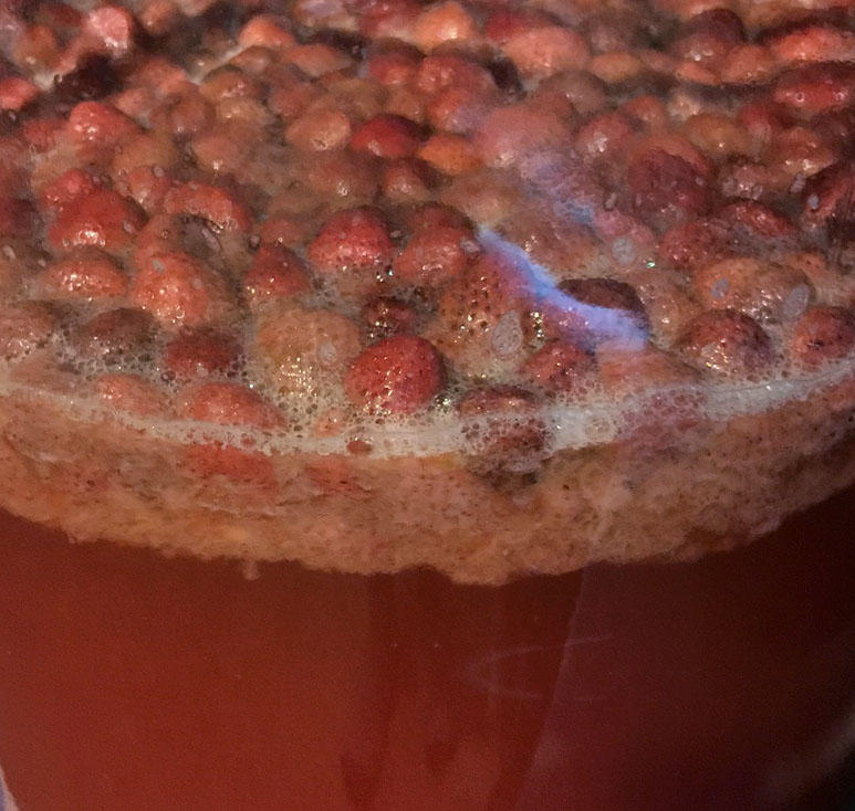 Home grown strawberries being macerated in a blend of sour blond ales.