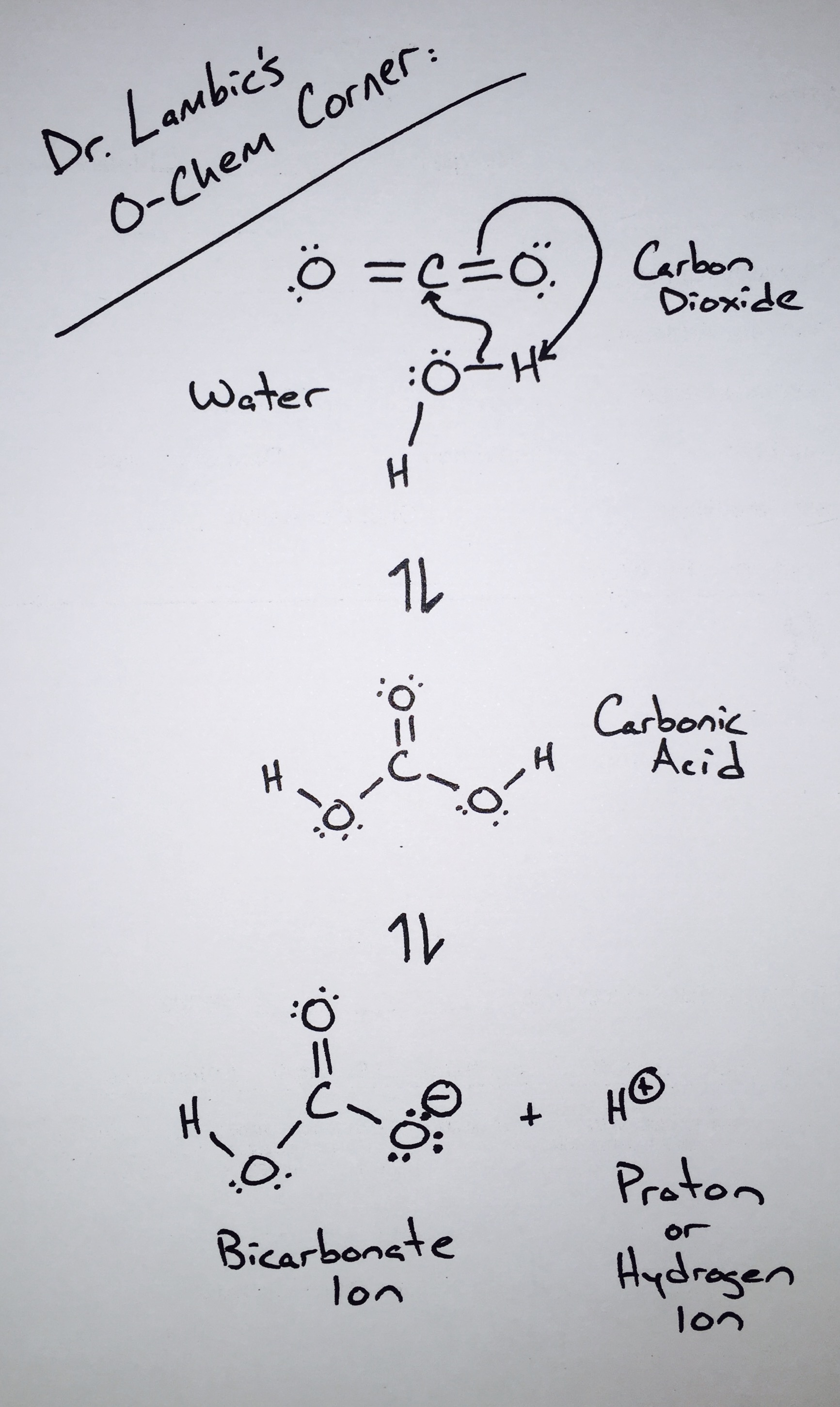 Dr Lambics O-Chem Corner - Carbonic Acid