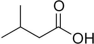 Isovaleric Acid