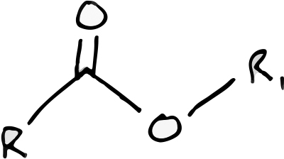 The ester functional group. In this representation R & R1 are any two different carbon-based chains.