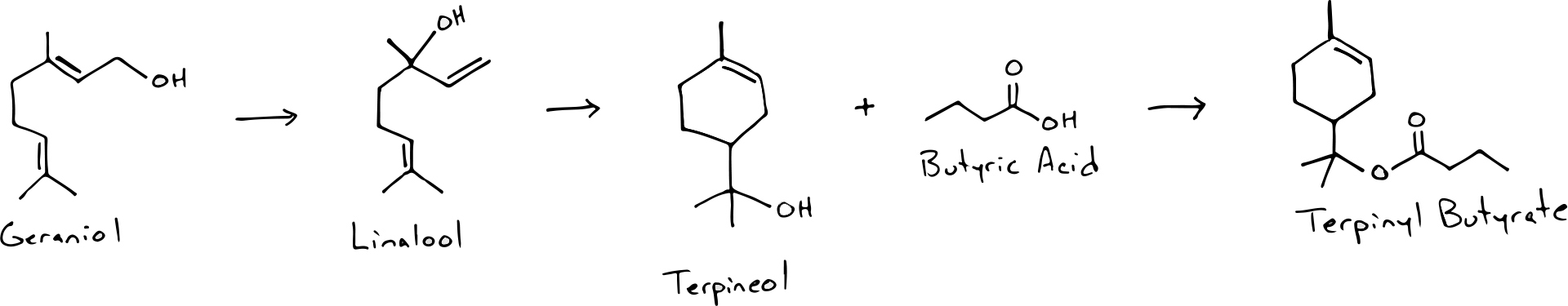 Terpinyl Butyrate