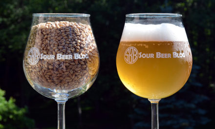 Designing and Brewing a Berliner Weisse