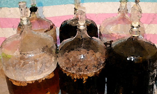 Fundamentals of Sour Beer Fermentation