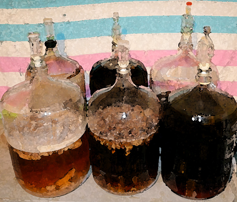 Fundamentals of Sour Beer Fermentation